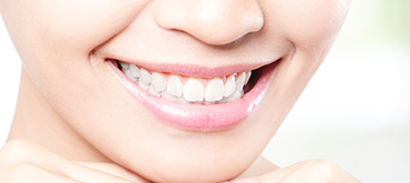 光学スキャナー（トリオス）導入しました